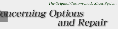 Concerning Options and Repair